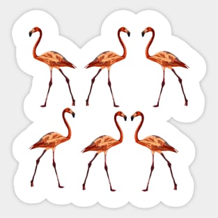 Pink Flamingo Sticker